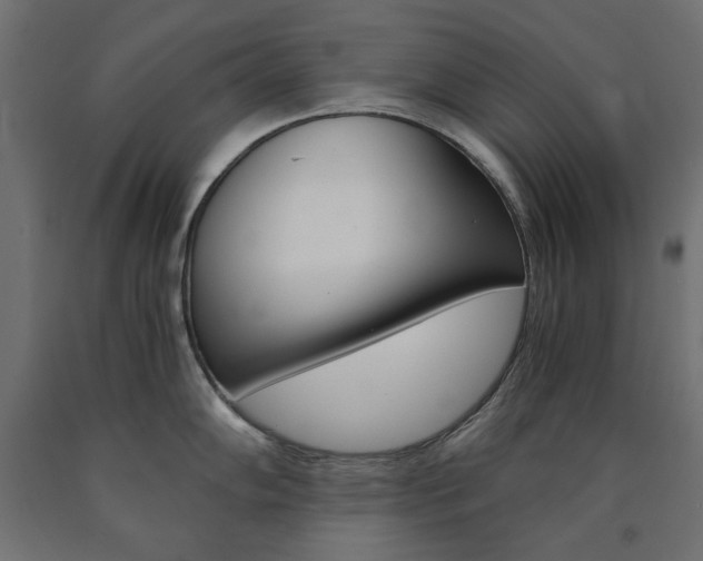 X0000091011102200708021401