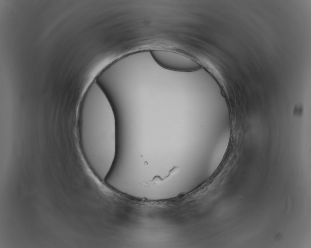 X0000091011103200708021401
