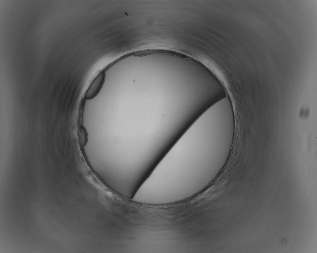 X0000091011104200708021401