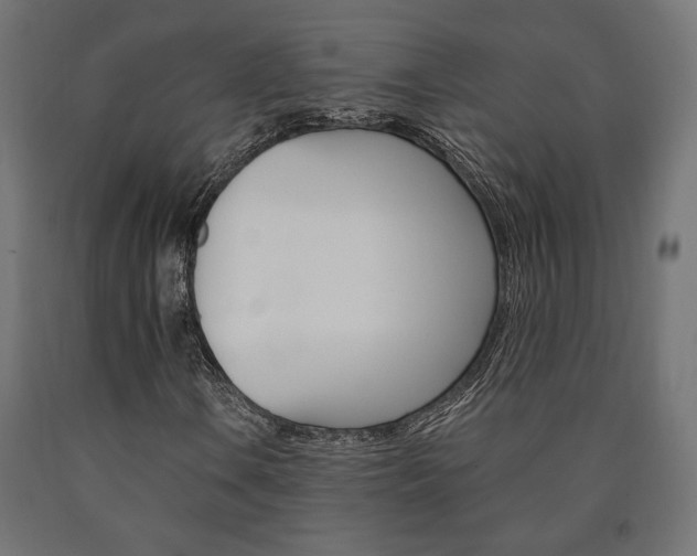X0000091011106200708021400
