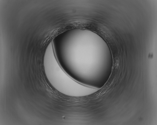 X0000091011108200708021400