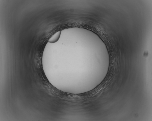 X0000091011109200708021400