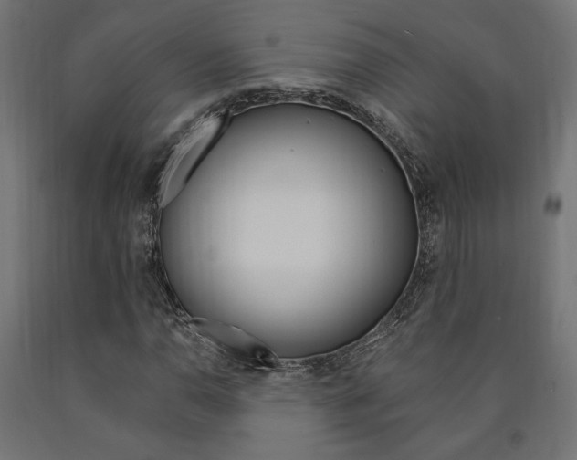 X0000091011110200708021400