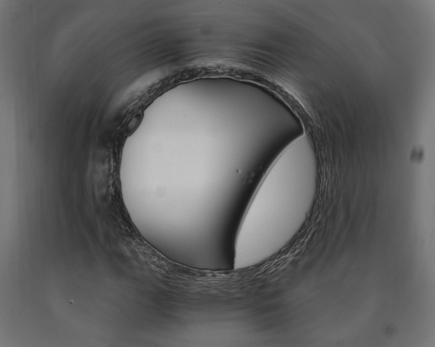 X0000091011111200708021400