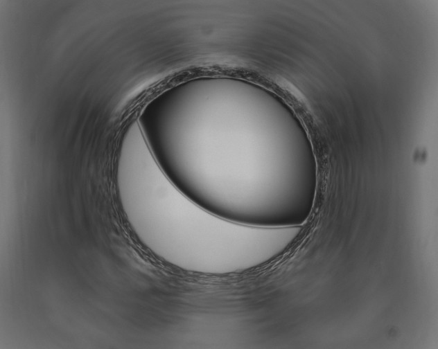 X0000091011112200708021400