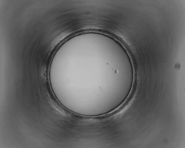 X0000091011113200708021400