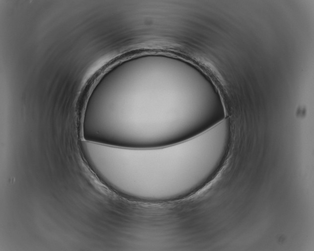 X0000091011114200708021400