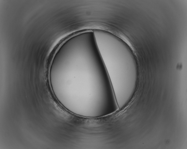 X0000091011116200708021400