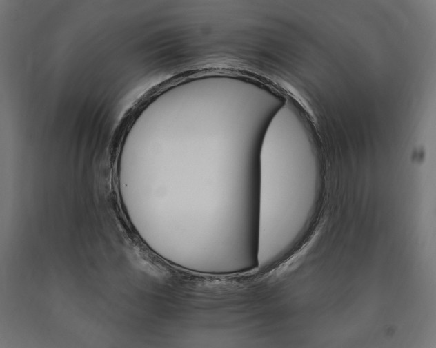 X0000091011117200708021400