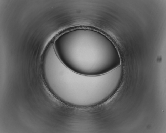 X0000091011118200708021400
