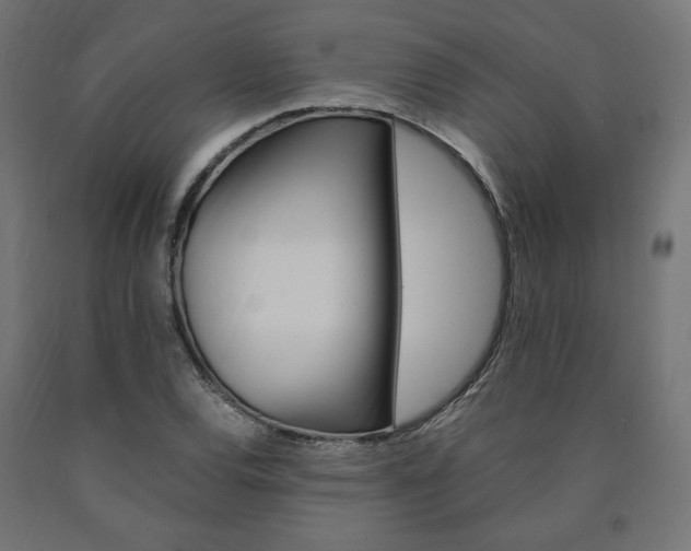 X0000091011120200708021400