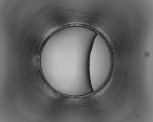 X0000091011121200708021400