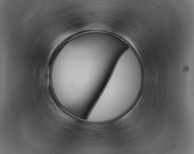 X0000091011123200708021400