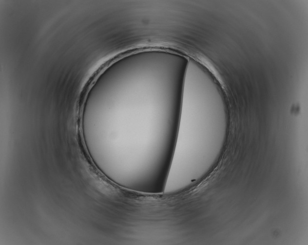 X0000091011124200708021400