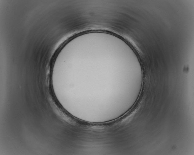 X0000091011126200708021400