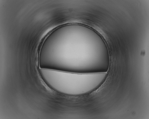 X0000091011127200708021400
