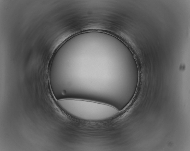 X0000091011129200708021400