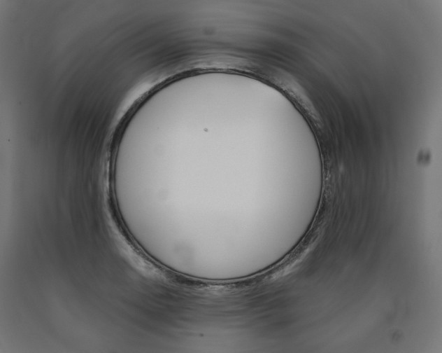 X0000091011130200708021400