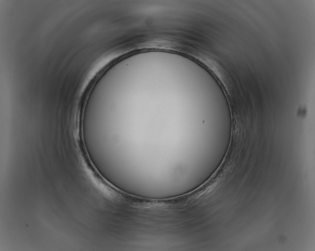 X0000091011131200708021400