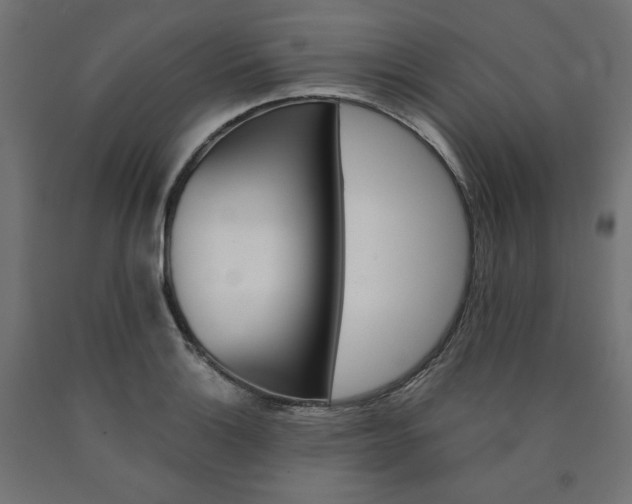 X0000091011132200708021400