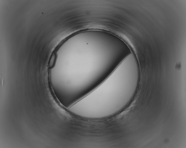 X0000091011133200708021400