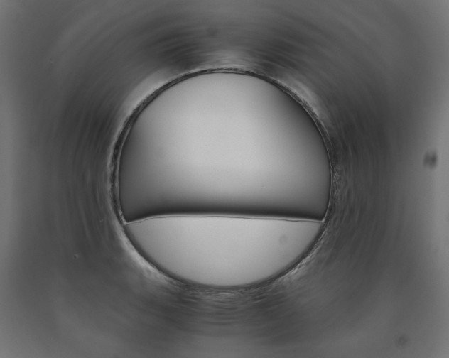 X0000091011135200708021400