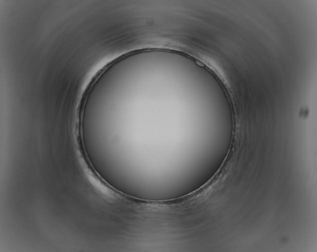 X0000091011136200708021400