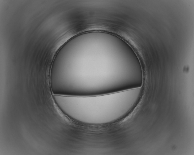 X0000091011137200708021400