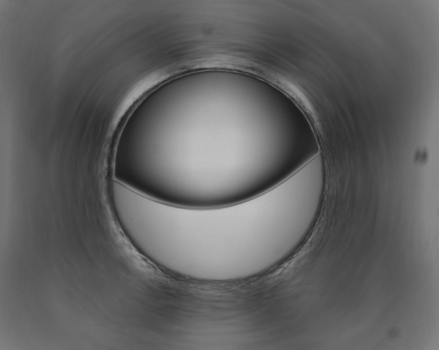 X0000091011138200708021400