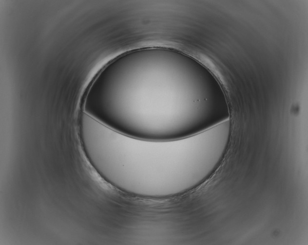 X0000091011140200708021401