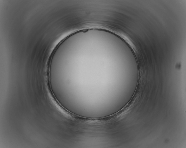 X0000091011142200708021401