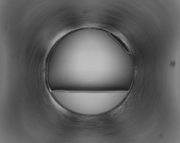 X0000091011143200708021401