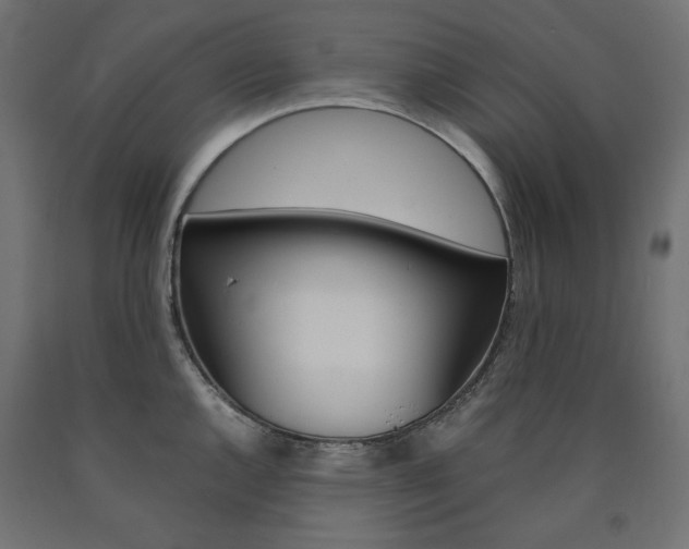 X0000091011144200708021401