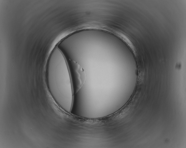 X0000091011146200708021401