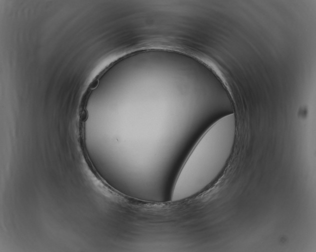 X0000091011147200708021401