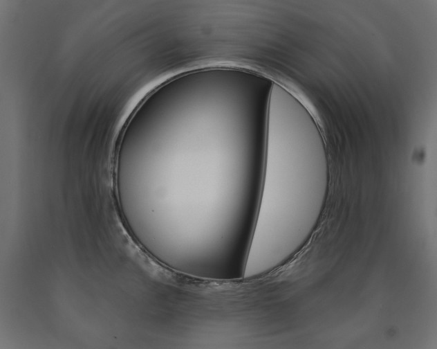 X0000091011148200708021401