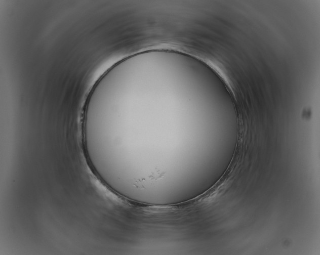 X0000091011151200708021401
