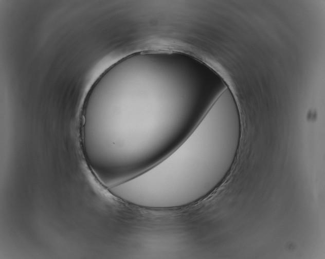 X0000091011152200708021401