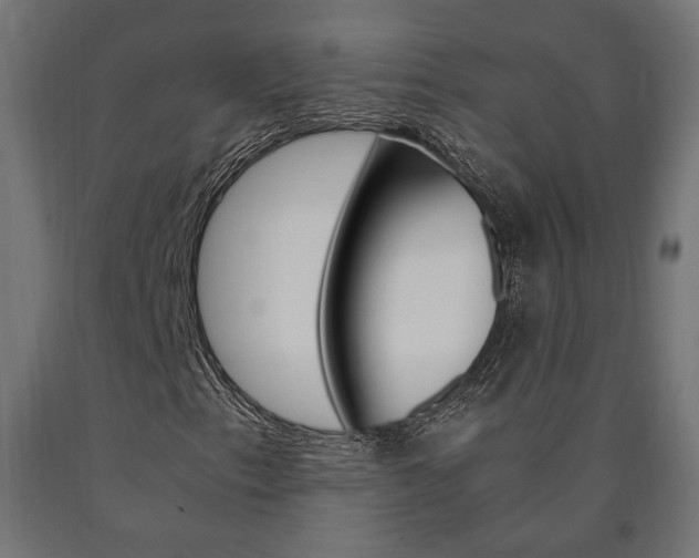 X0000091011153200708021400