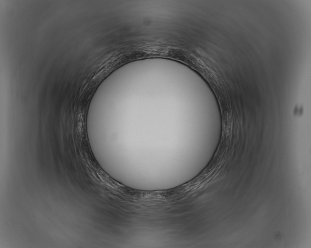 X0000091011154200708021400