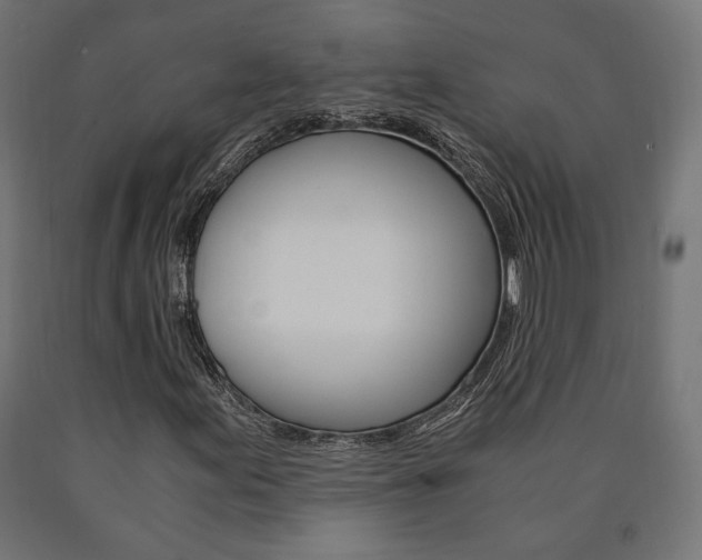 X0000091011155200708021400