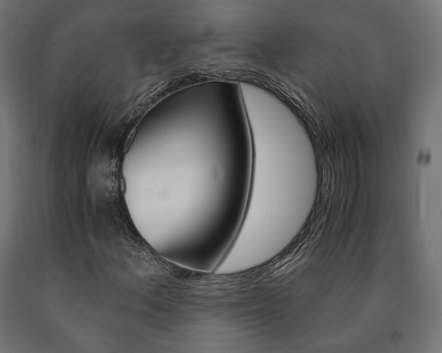 X0000091011156200708021400