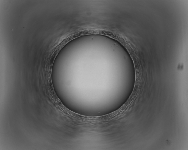 X0000091011157200708021400