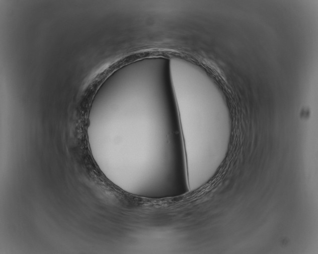 X0000091011159200708021400
