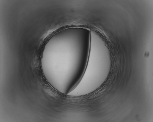 X0000091011160200708021400