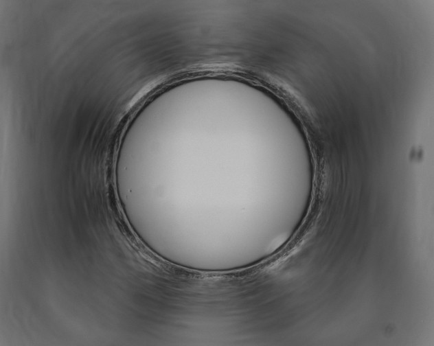 X0000091011162200708021400