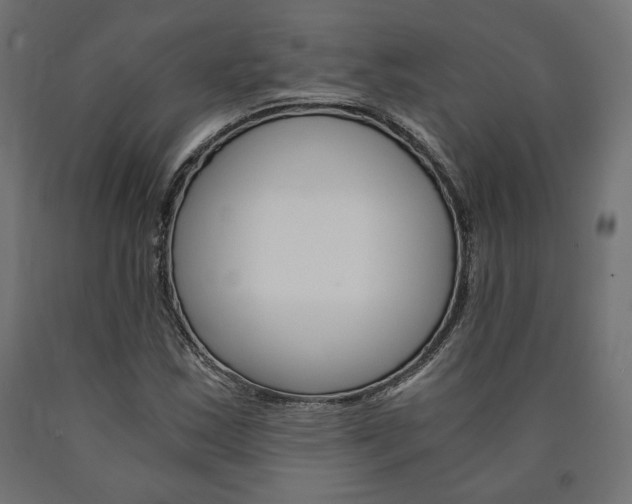 X0000091011163200708021400