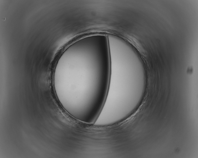 X0000091011164200708021400