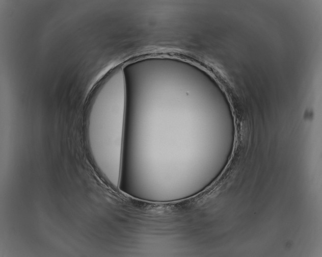 X0000091011165200708021400