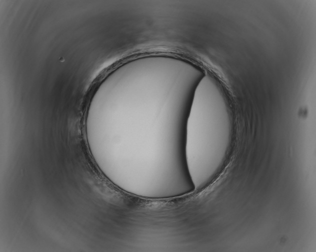 X0000091011166200708021400